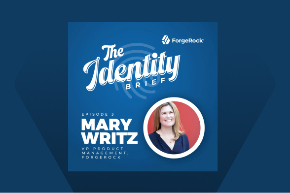 the Identity Brief with Mary Writz